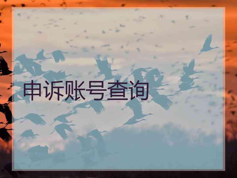 申诉账号查询