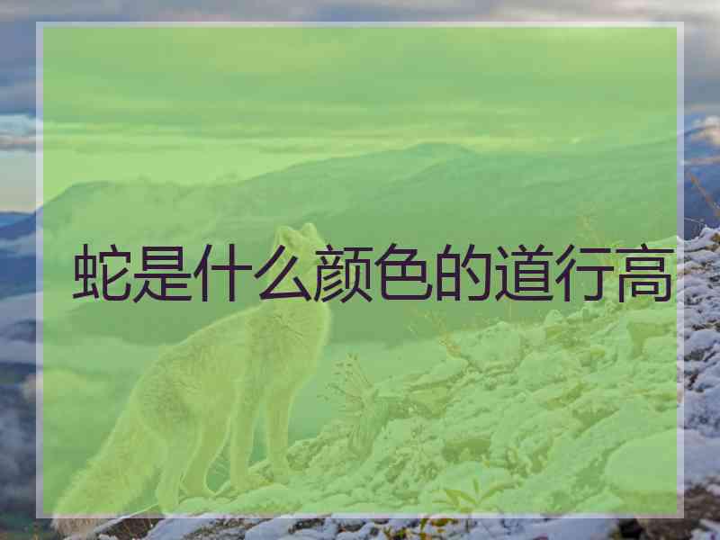 蛇是什么颜色的道行高
