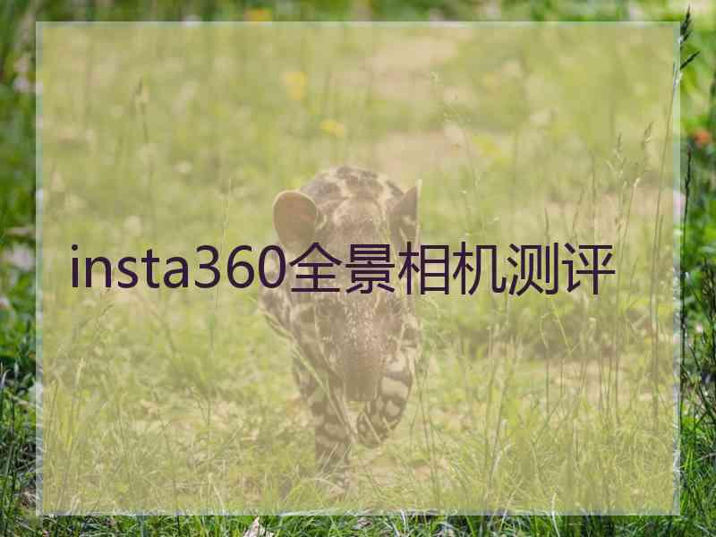 insta360全景相机测评