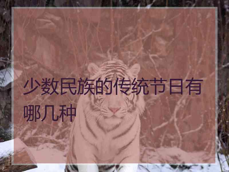 少数民族的传统节日有哪几种