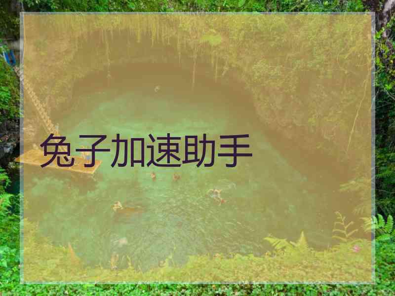兔子加速助手