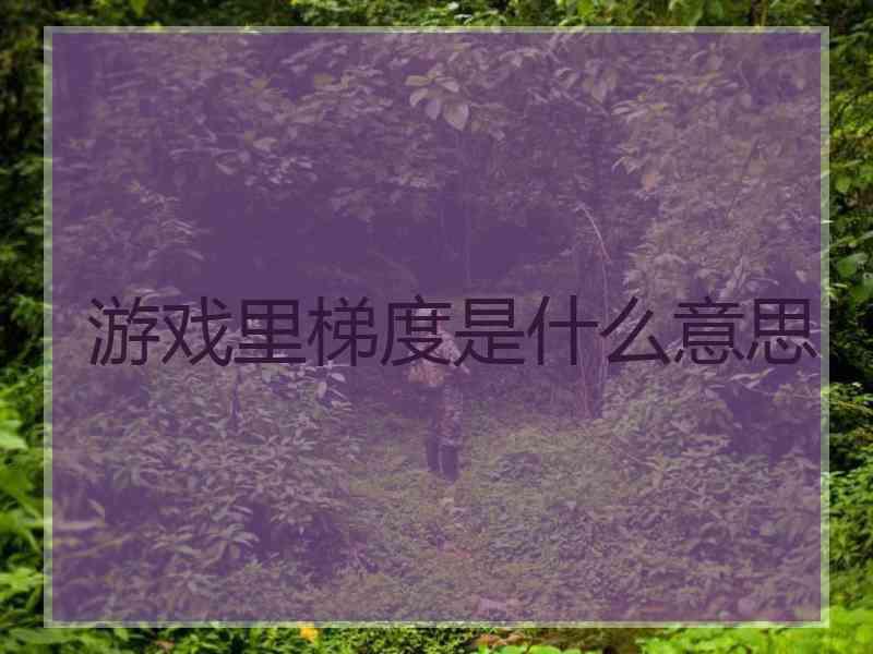 游戏里梯度是什么意思