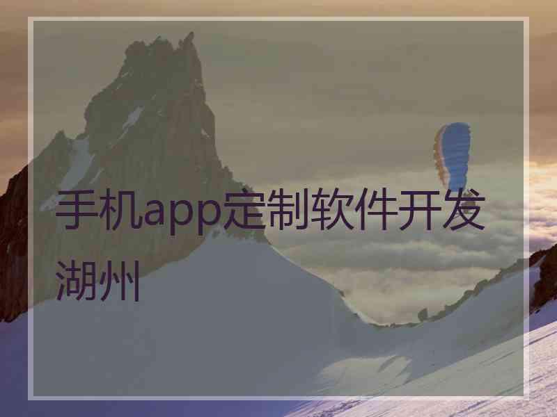 手机app定制软件开发湖州