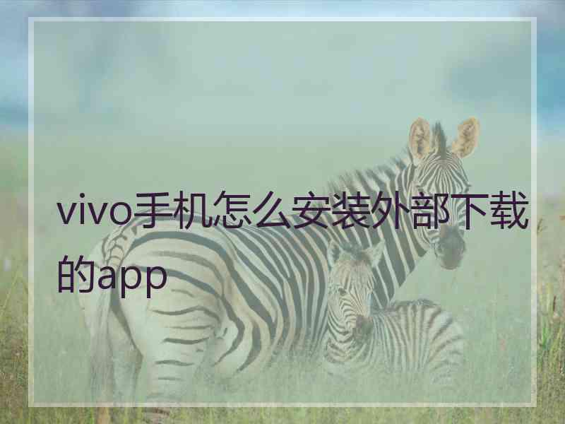 vivo手机怎么安装外部下载的app