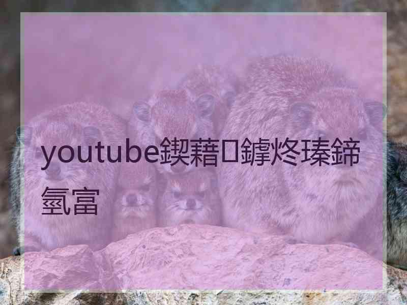 youtube鍥藉鎼炵瑧鍗氫富