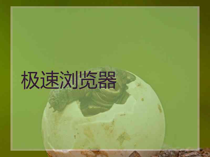 极速浏览器