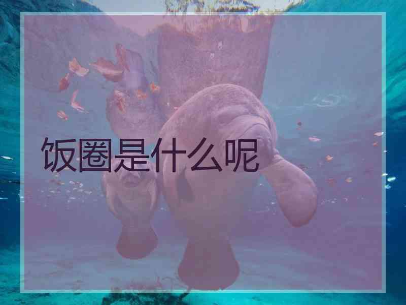 饭圈是什么呢