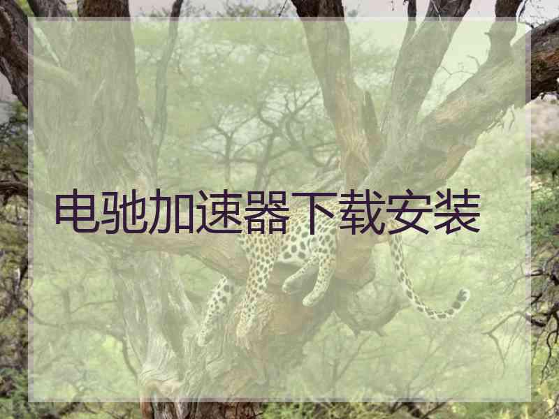 电驰加速器下载安装