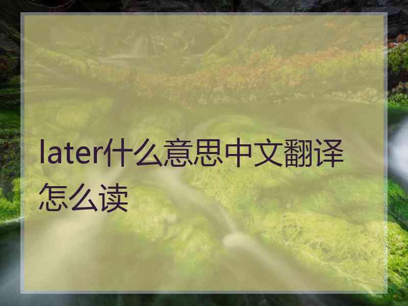 later什么意思中文翻译怎么读