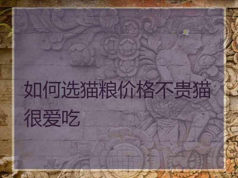 如何选猫粮价格不贵猫很爱吃