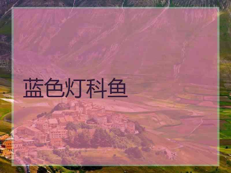 蓝色灯科鱼