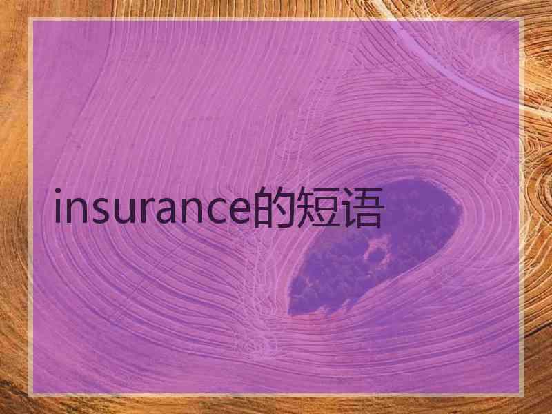 insurance的短语