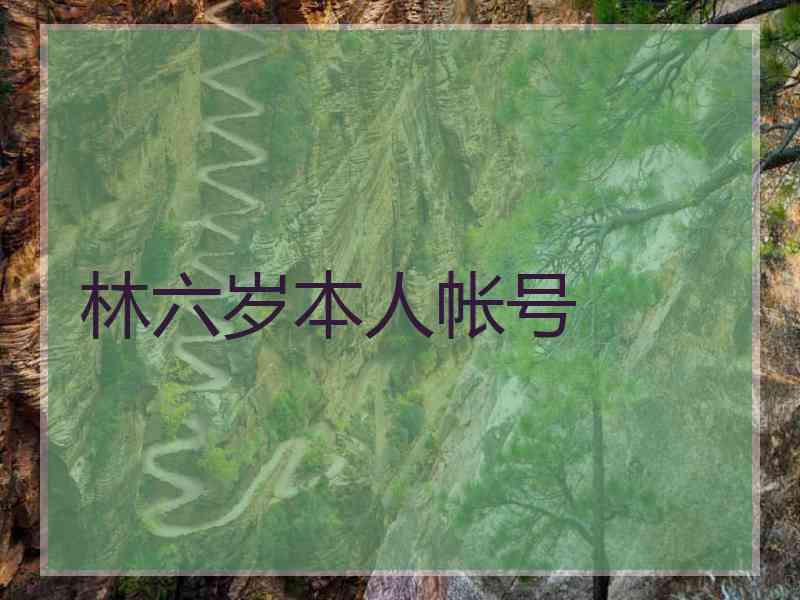 林六岁本人帐号
