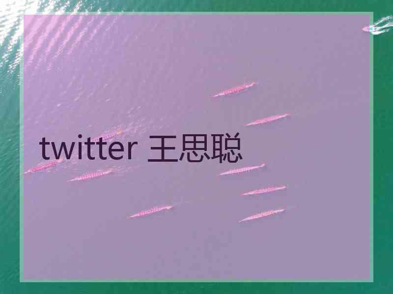 twitter 王思聪