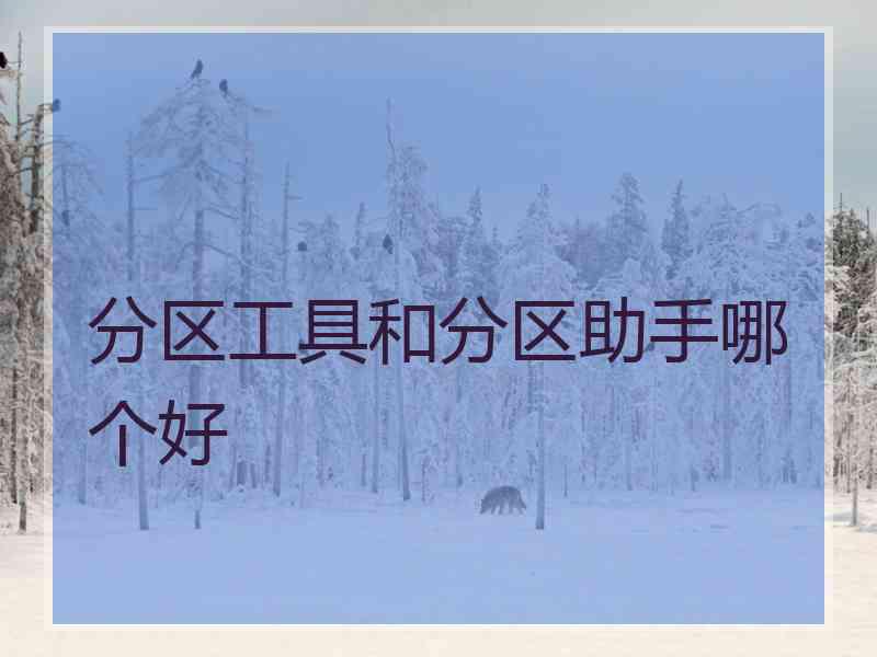 分区工具和分区助手哪个好