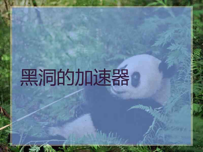 黑洞的加速器