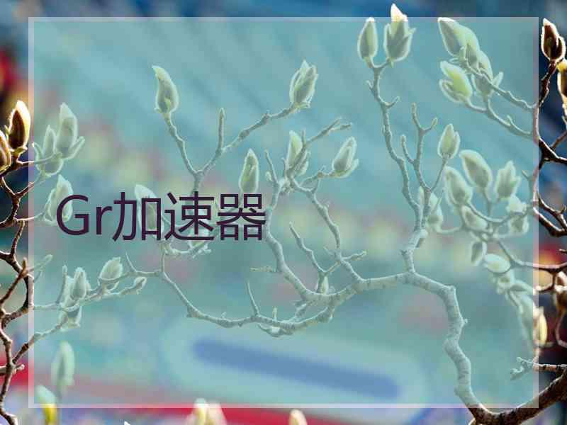 Gr加速器