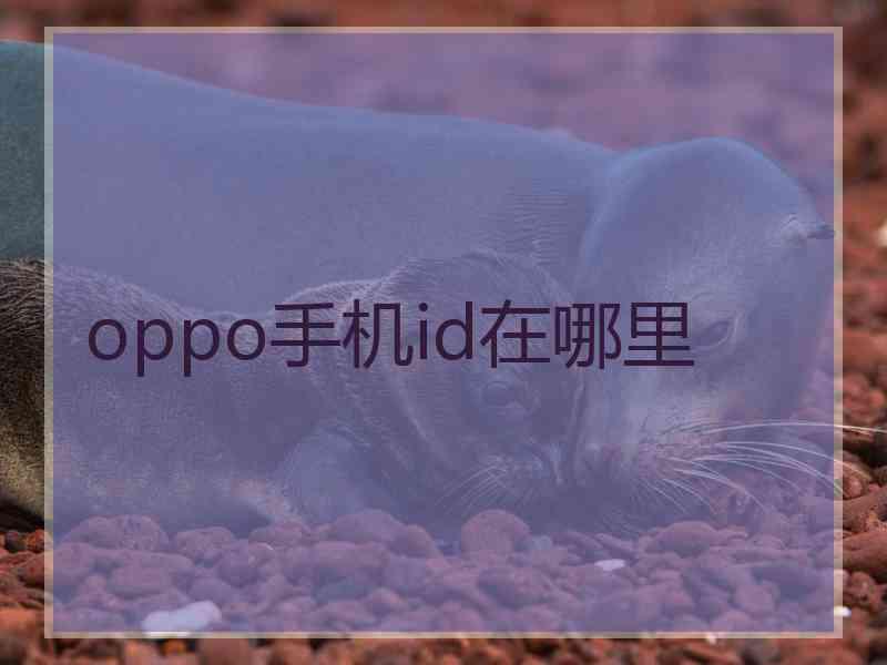 oppo手机id在哪里