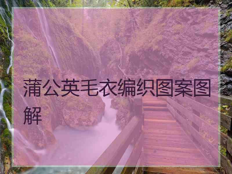 蒲公英毛衣编织图案图解
