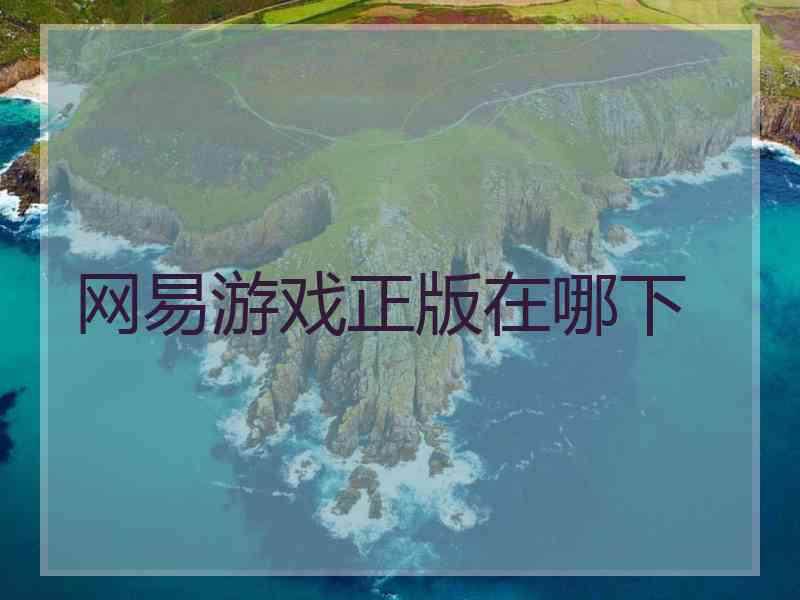 网易游戏正版在哪下