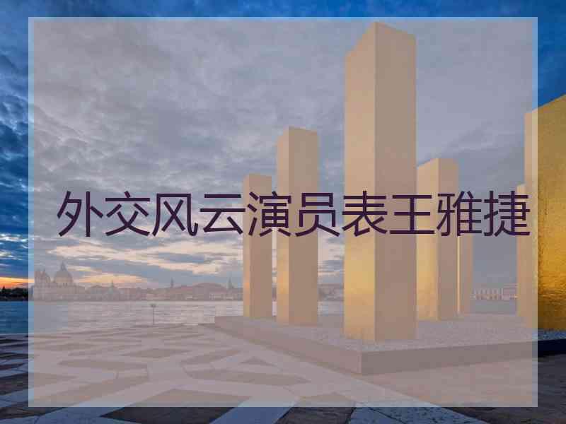 外交风云演员表王雅捷
