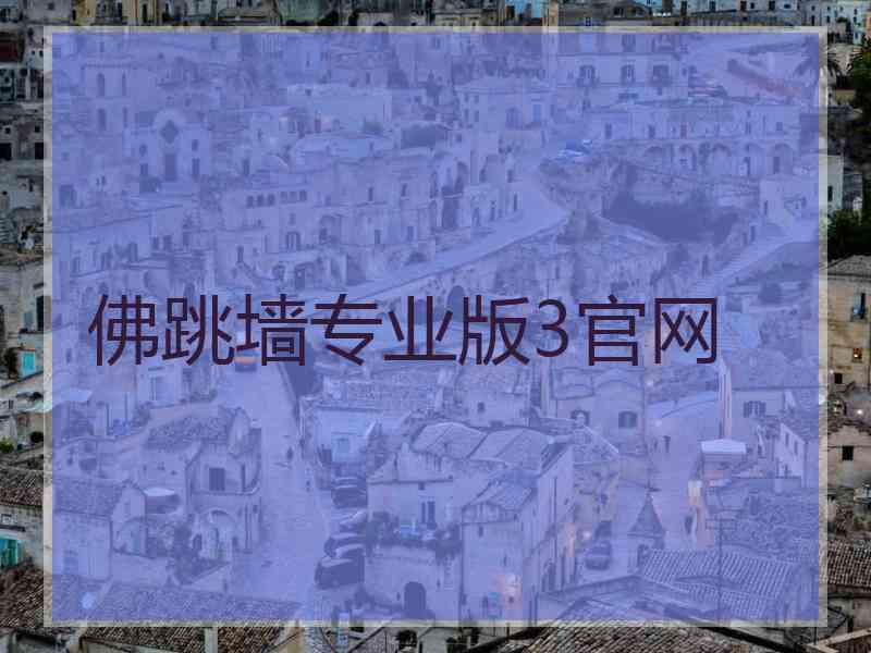 佛跳墙专业版3官网