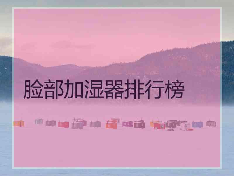 脸部加湿器排行榜