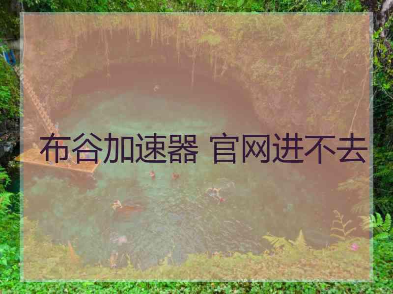 布谷加速器 官网进不去