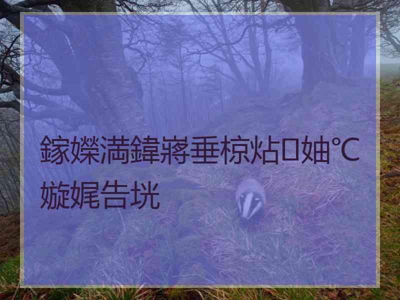 鎵嬫満鍏嶈垂椋炶妯℃嫙娓告垙