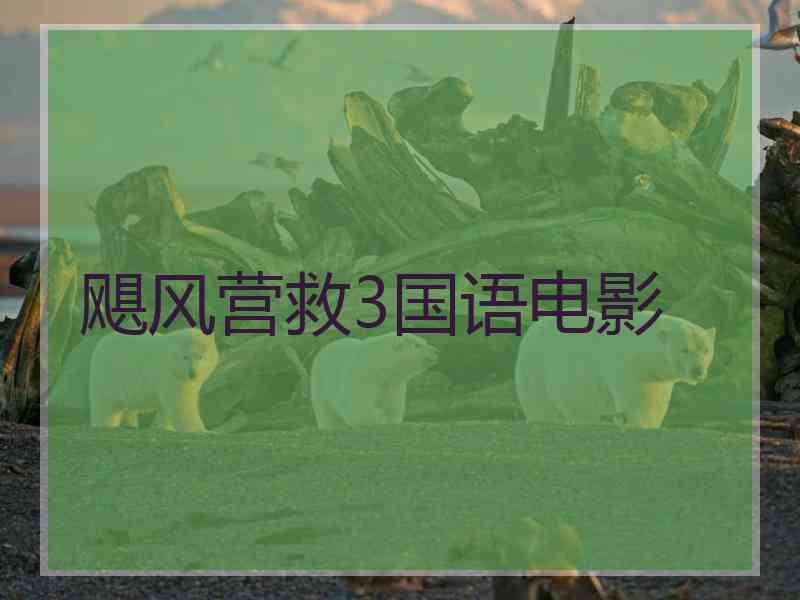 飓风营救3国语电影