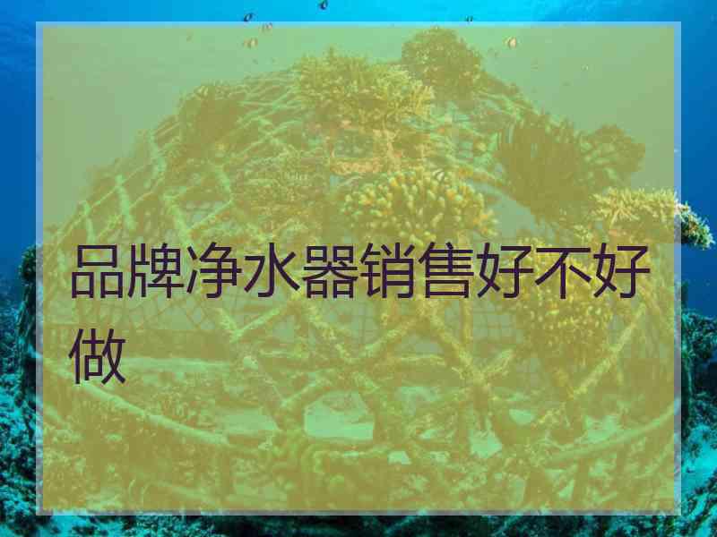 品牌净水器销售好不好做