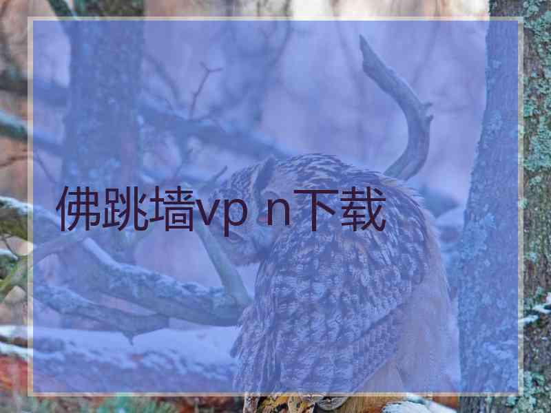 佛跳墙vp n下载
