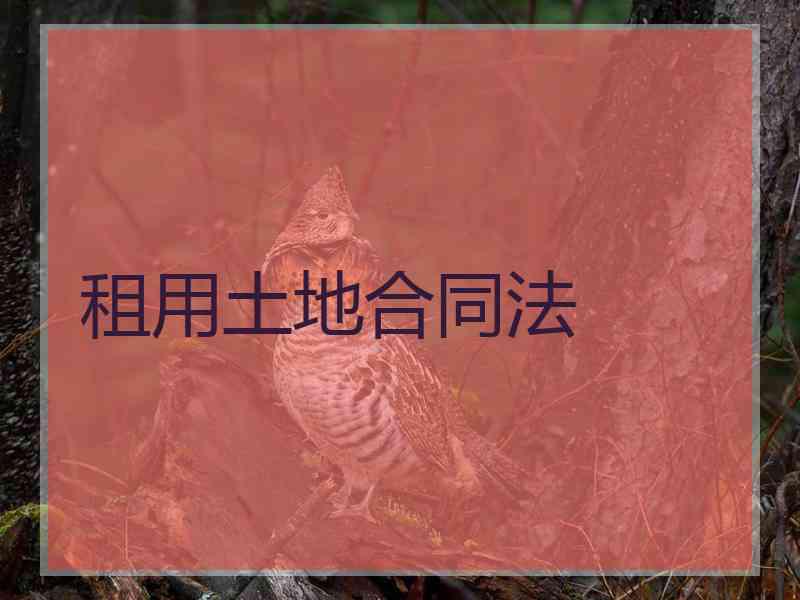租用土地合同法