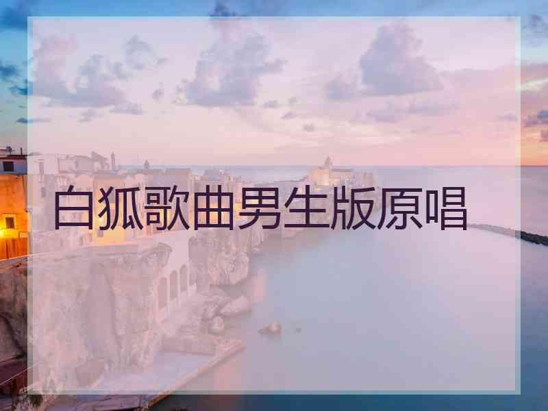 白狐歌曲男生版原唱
