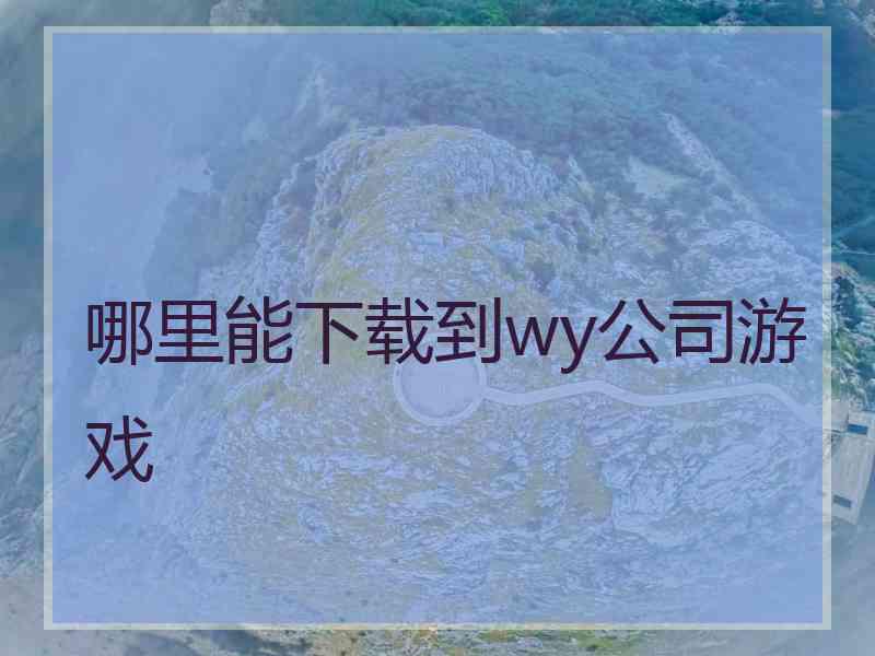 哪里能下载到wy公司游戏