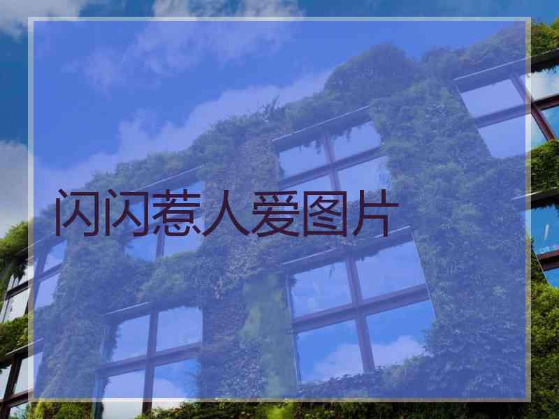 闪闪惹人爱图片