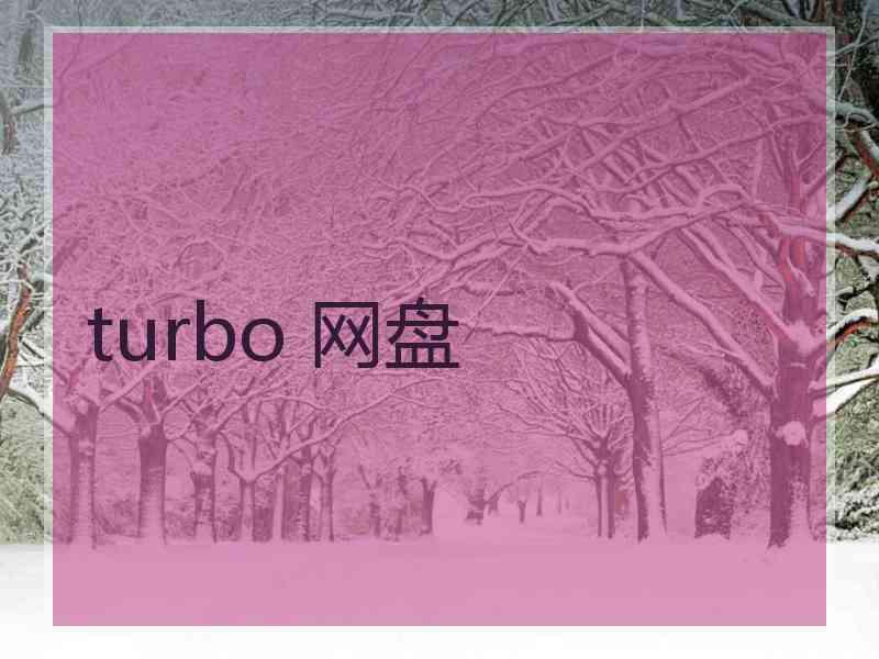 turbo 网盘