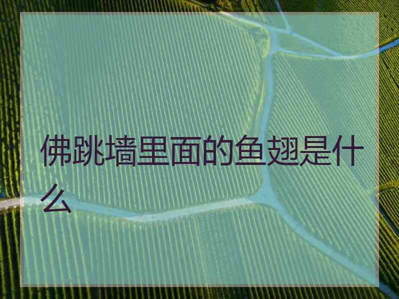 佛跳墙里面的鱼翅是什么