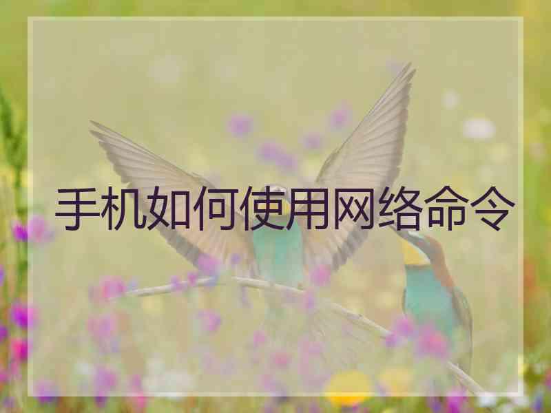 手机如何使用网络命令