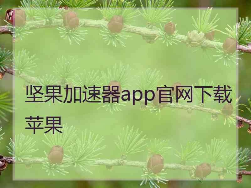 坚果加速器app官网下载苹果