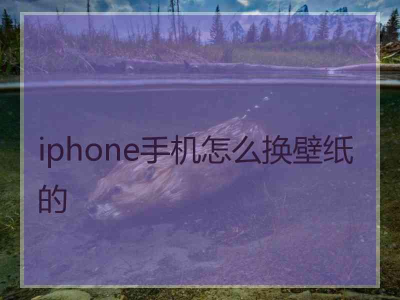 iphone手机怎么换壁纸的