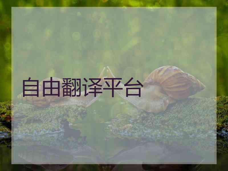 自由翻译平台