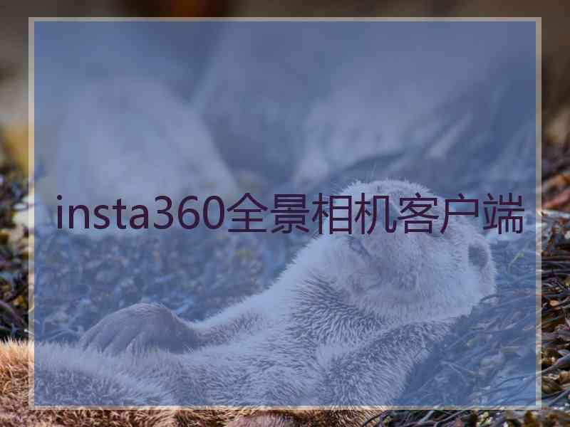 insta360全景相机客户端