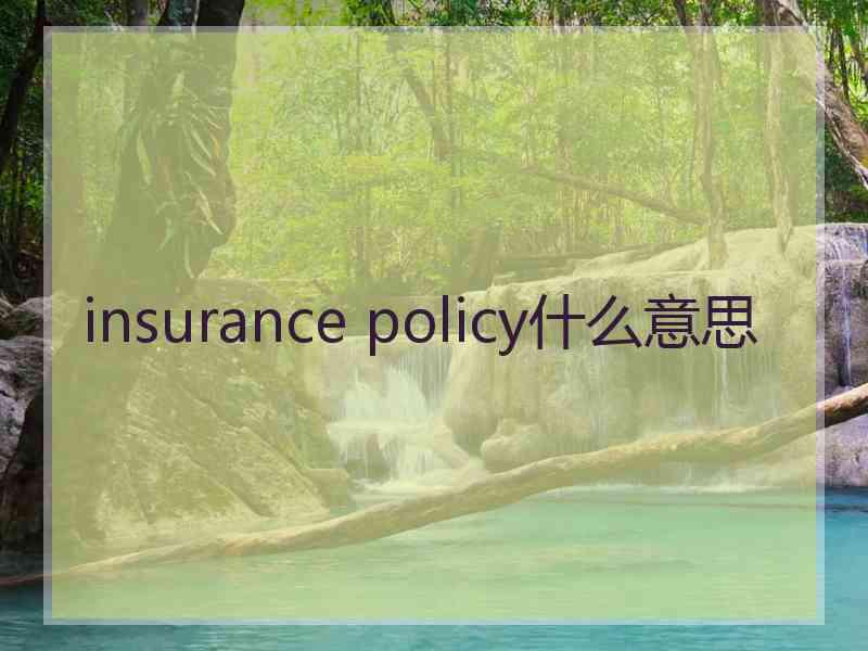 insurance policy什么意思