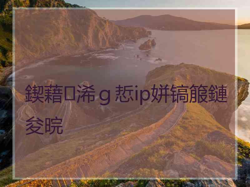鍥藉浠ｇ悊ip姘镐箙鏈夋晥