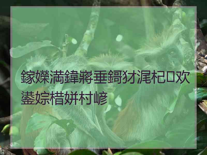 鎵嬫満鍏嶈垂鎶犲浘杞欢鍙婃棤姘村嵃