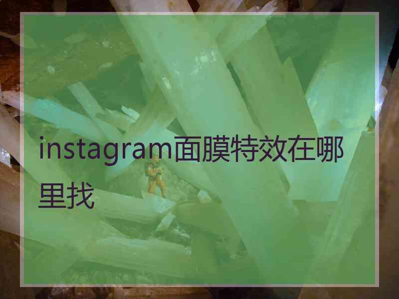 instagram面膜特效在哪里找