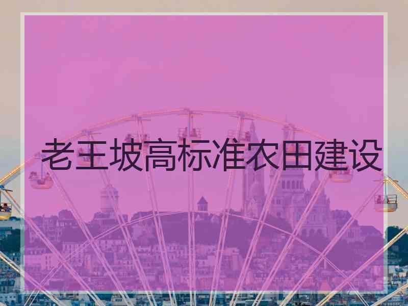 老王坡高标准农田建设