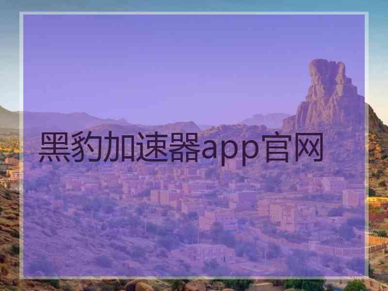黑豹加速器app官网