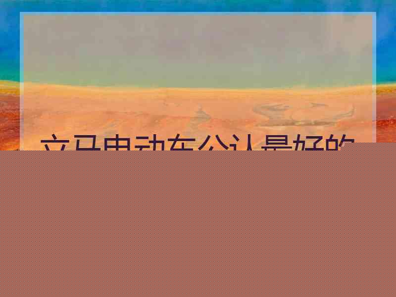 立马电动车公认最好的三款